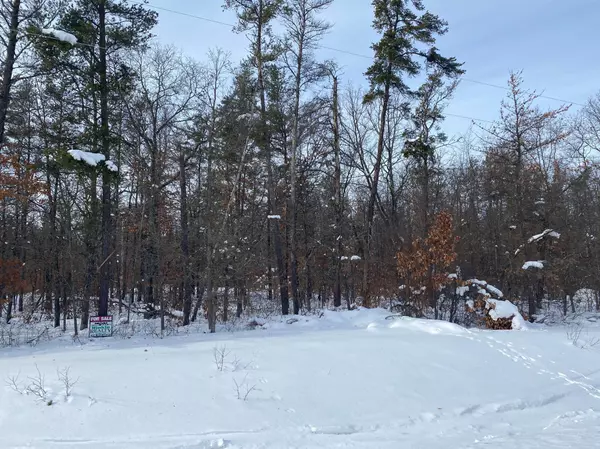 Thomastown Twp, MN 56479,xxx 273rd Ave