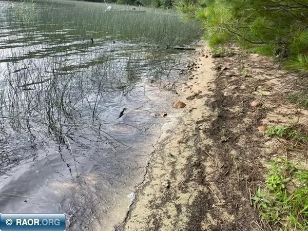 Tower, MN 55790,95818 Pine IS