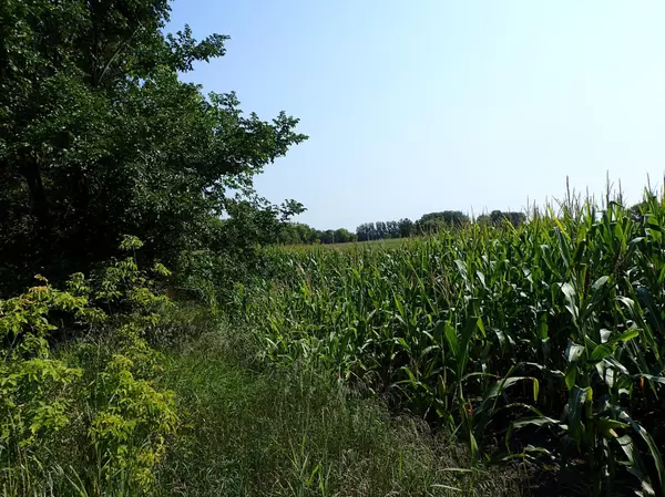 Delano, MN 55328,XXXF Fannon AVE SE