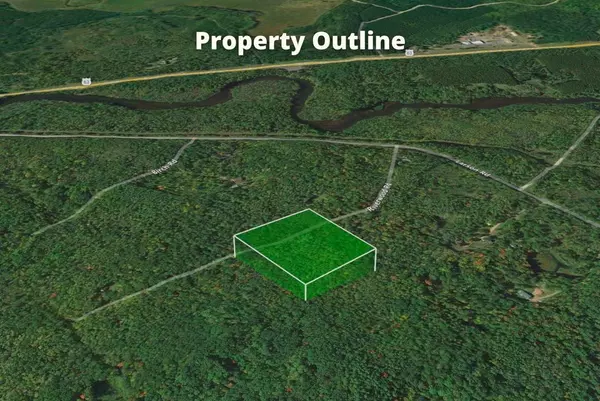 Bass Lake, WI 54875,N91XX Riverwood RD