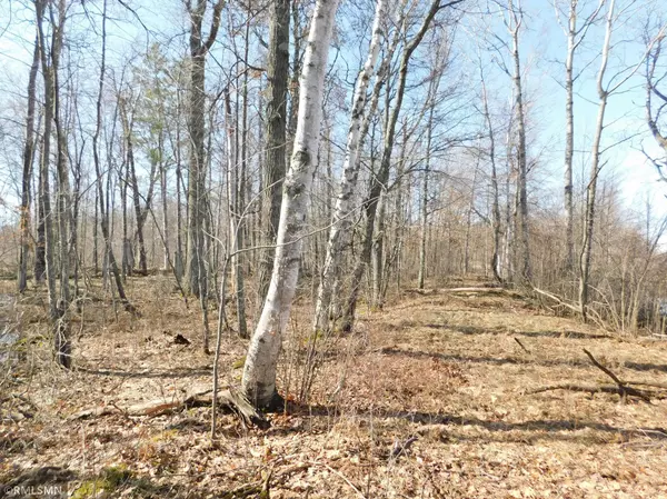 Mcgregor, MN 55760,140045701 248th PL