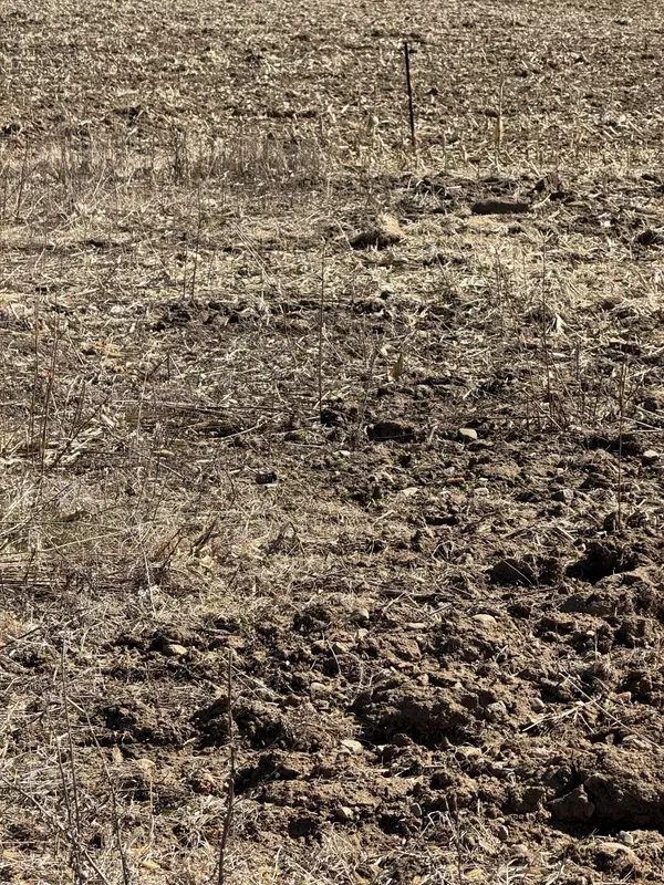 Owatonna, MN 55060,6xxx Rose ST