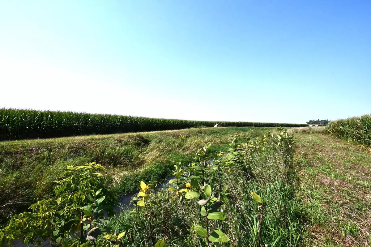 Blooming Prairie, MN 55917,73487 State Hwy 30