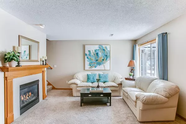 Woodbury, MN 55125,29 Landau Alcove