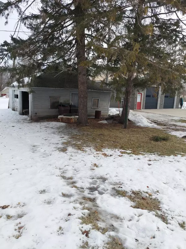 Grand Meadow, MN 55936,208 3rd ST NE