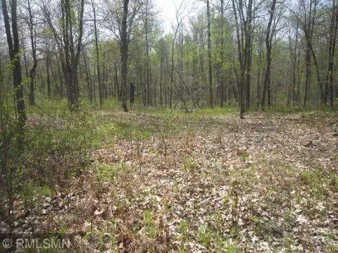 Turtle Lake Twp, MN 56484,Lots 2 & 3 Wild Turkey RUN