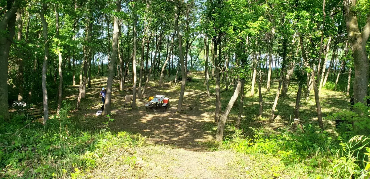 Howard Lake, MN 55349,xxx Huber AVE SW