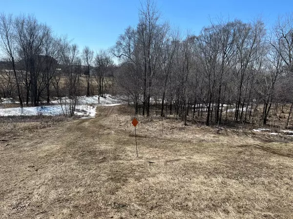 Mazeppa, MN 55956,TBD 15th Ave