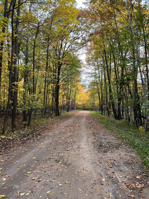 Walker, MN 56484,TBD Lot 4 Starlite Trail