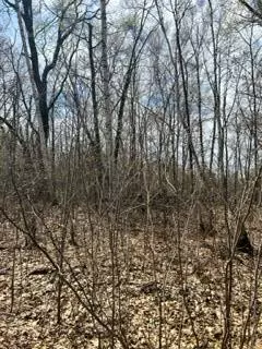 Cushing Twp, MN 56443,XXX Opal LN