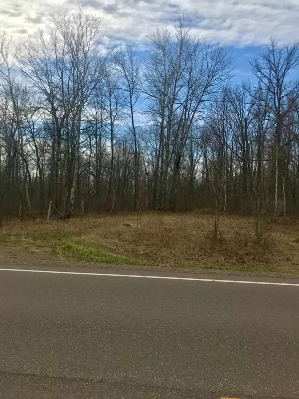 Peace Twp, MN 55051,XXXX 300th AVE