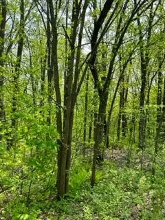 Cushing, MN 56443,XXX Woodchuck Trail