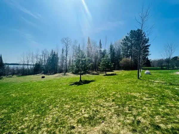 Bowstring Twp, MN 56636,46784 County Road 133