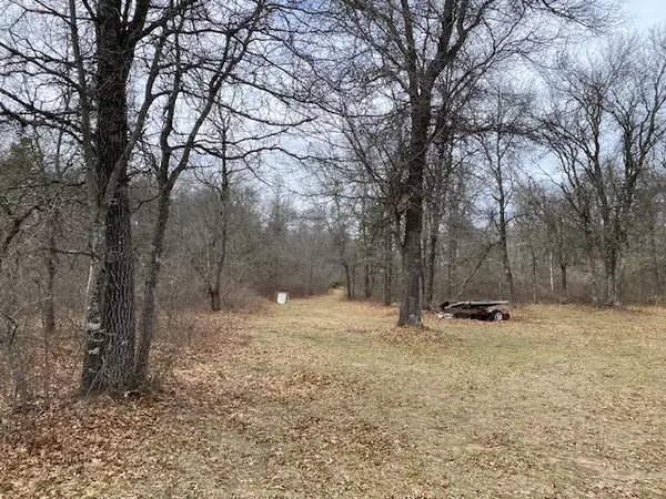 Wascott Twp, WI 54859,9033 E County Road T