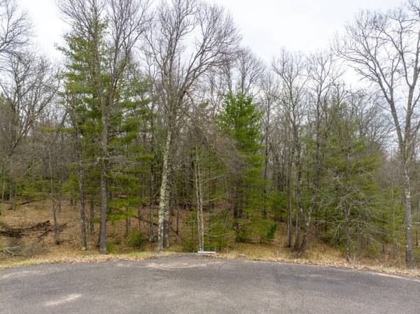 TBD Lot 6 Smith Drive, Solon Springs Twp, WI 54873