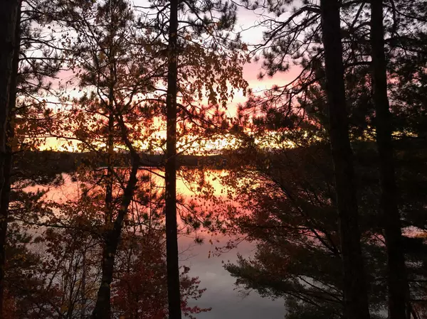 Cushing, MN 56443,31235 Lawrence DR