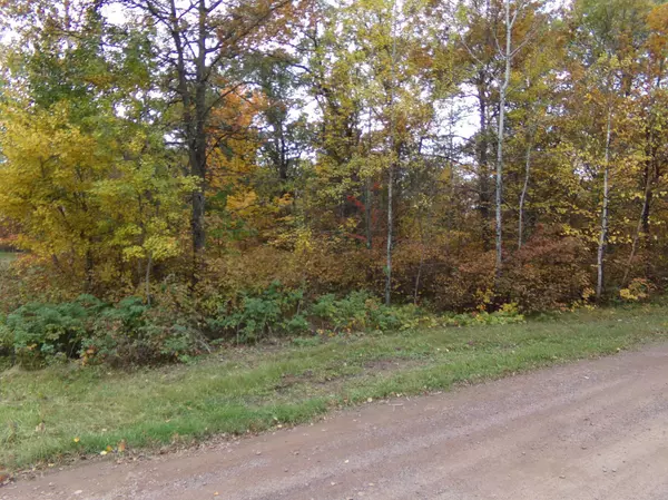 Solon Springs Twp, WI 54873,TBD Biller Loop