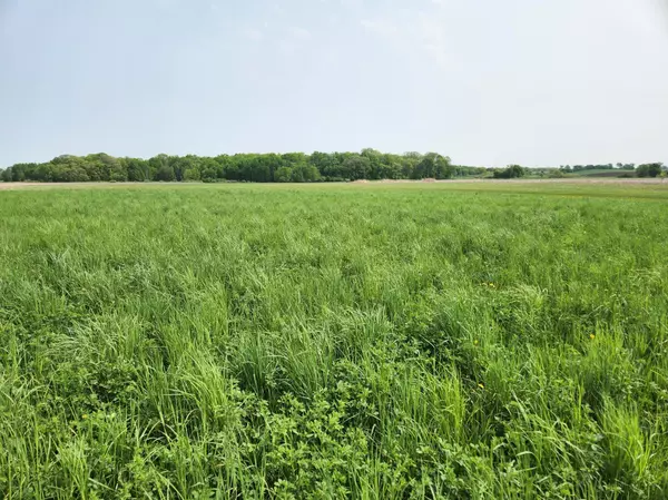 Wakefield Twp, MN 56368,TBD 188th AVE