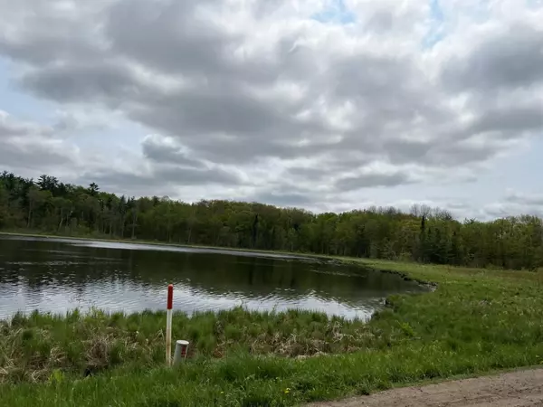 Farm Island Twp, MN 56431,xxx 320th ST