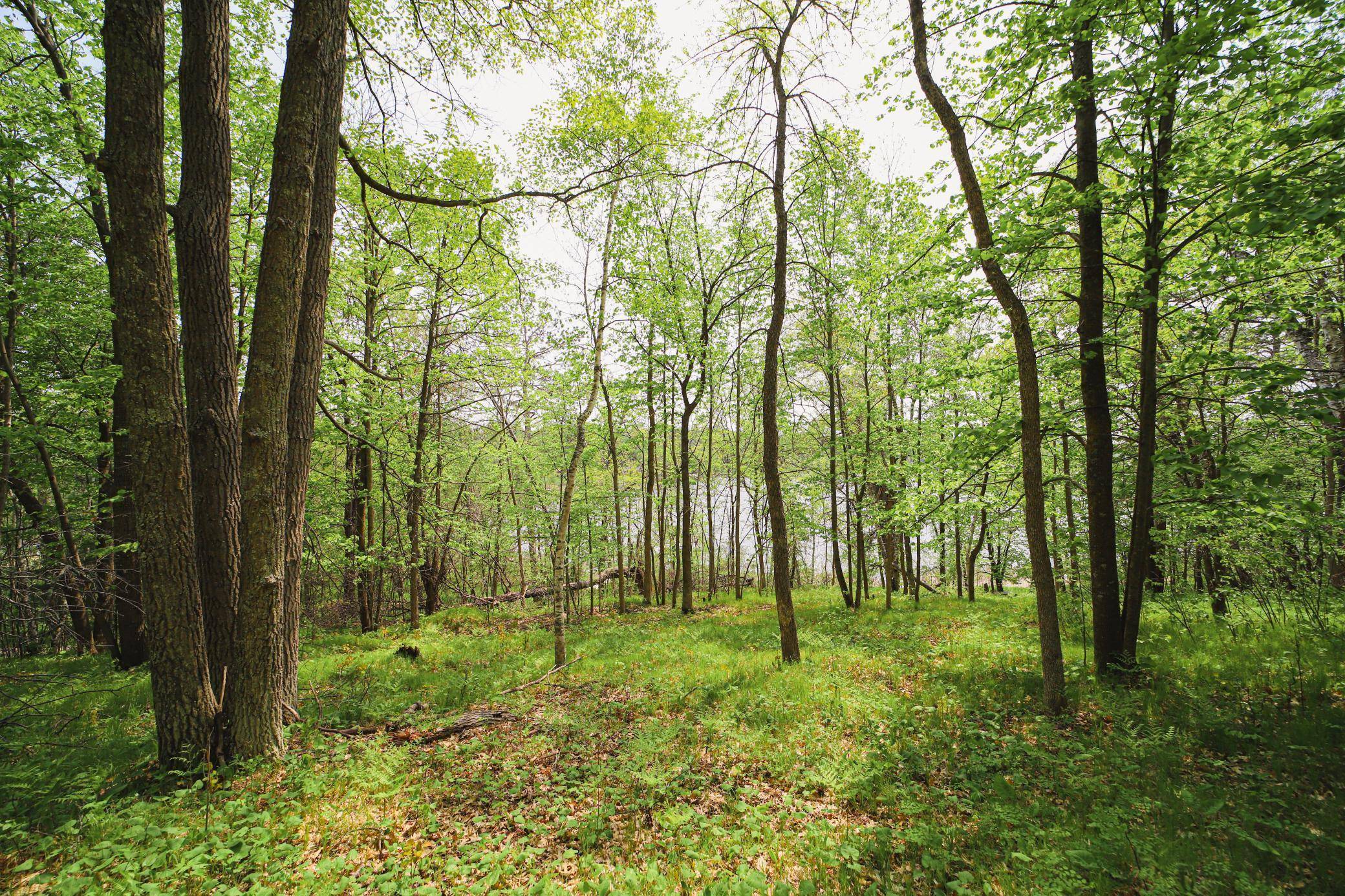 Fifty Lakes, MN 56448,TBD N Mitchell Lake Road