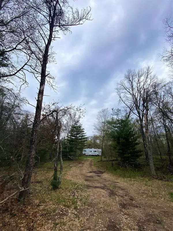 Grantsburg Twp, WI 54840,24354 Borg RD