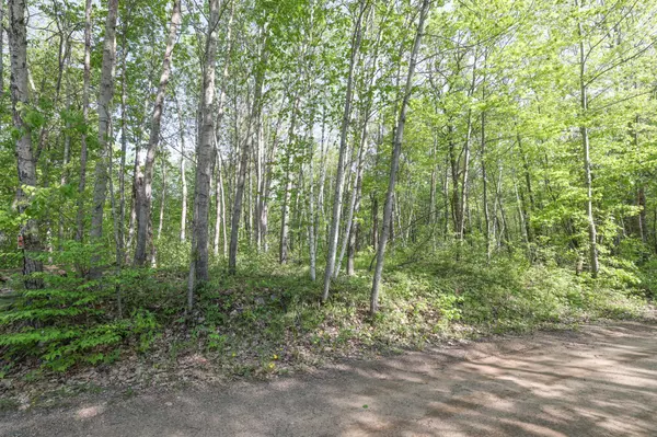 Hackensack, MN 56452,Lot 9 Miller Bay Lane NW