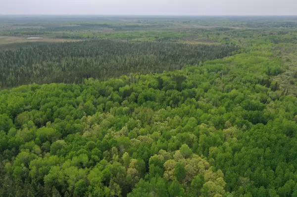 Big Falls, MN 56627,TBD Town Rd. 55