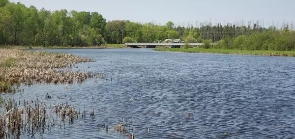 Wirt Twp, MN 56688,52452 County Road 29