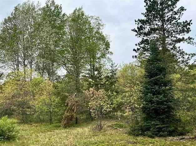 000 Jackman Lake Rd, Iron River Twp, WI 54847