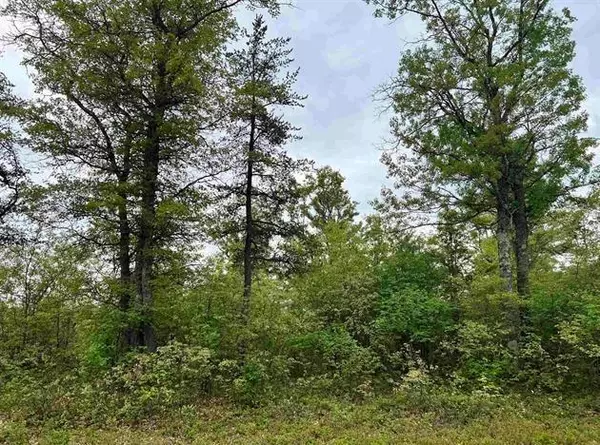 Iron River Twp, WI 54847,000 Jackman Lake Rd