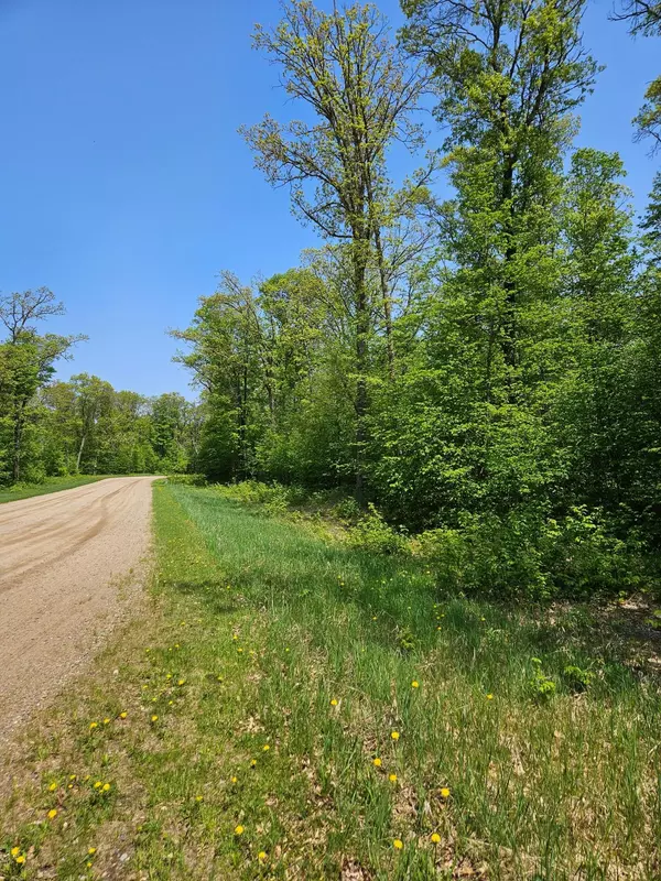 Mission Twp, MN 56442,Lot B tbd Fireweed Court