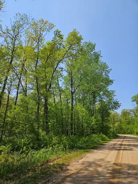 Lot D tbd Fireweed CT, Mission Twp, MN 56442