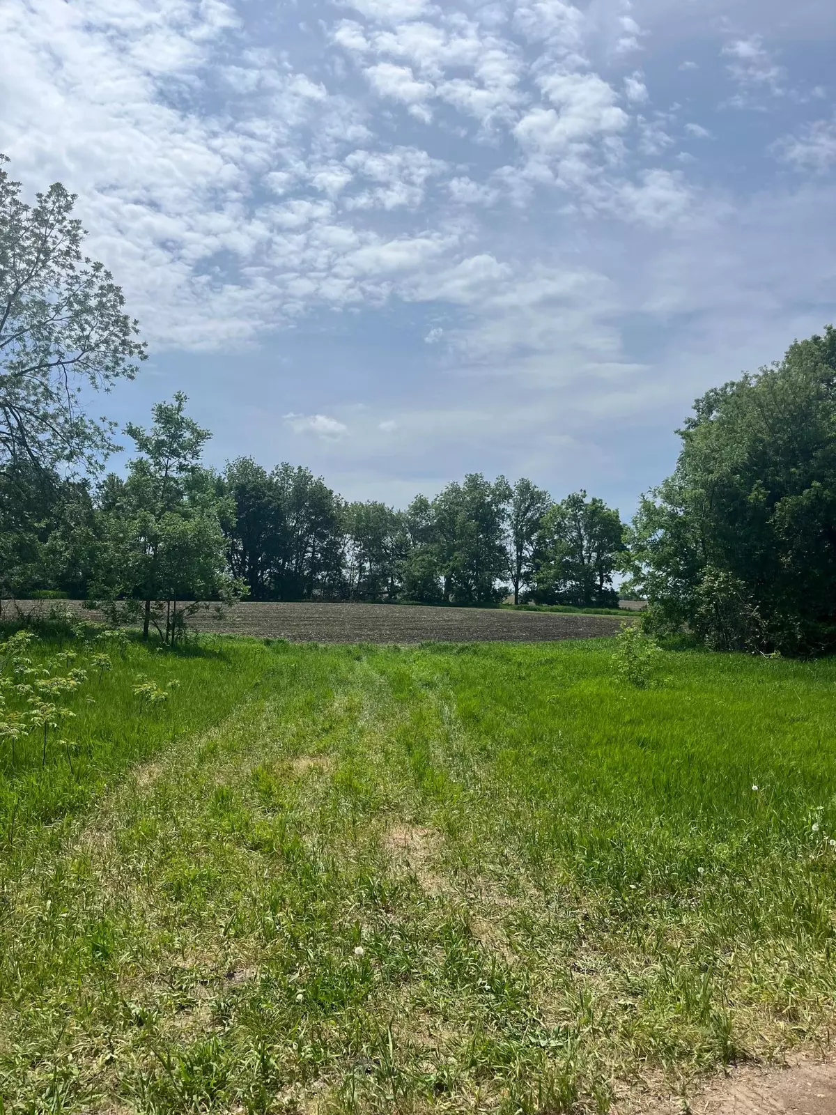 Middleville Twp, MN 55349,- -