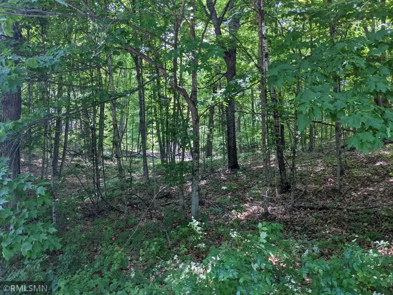 Lot Grandview LOOP, Long Prairie, MN 56347