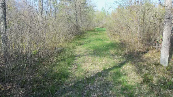 Grantsburg, WI 54840,Lot 10 Twin Oaks Trl