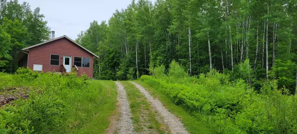 Stokes Twp, MN 56628,41255 Turtle Lake RD