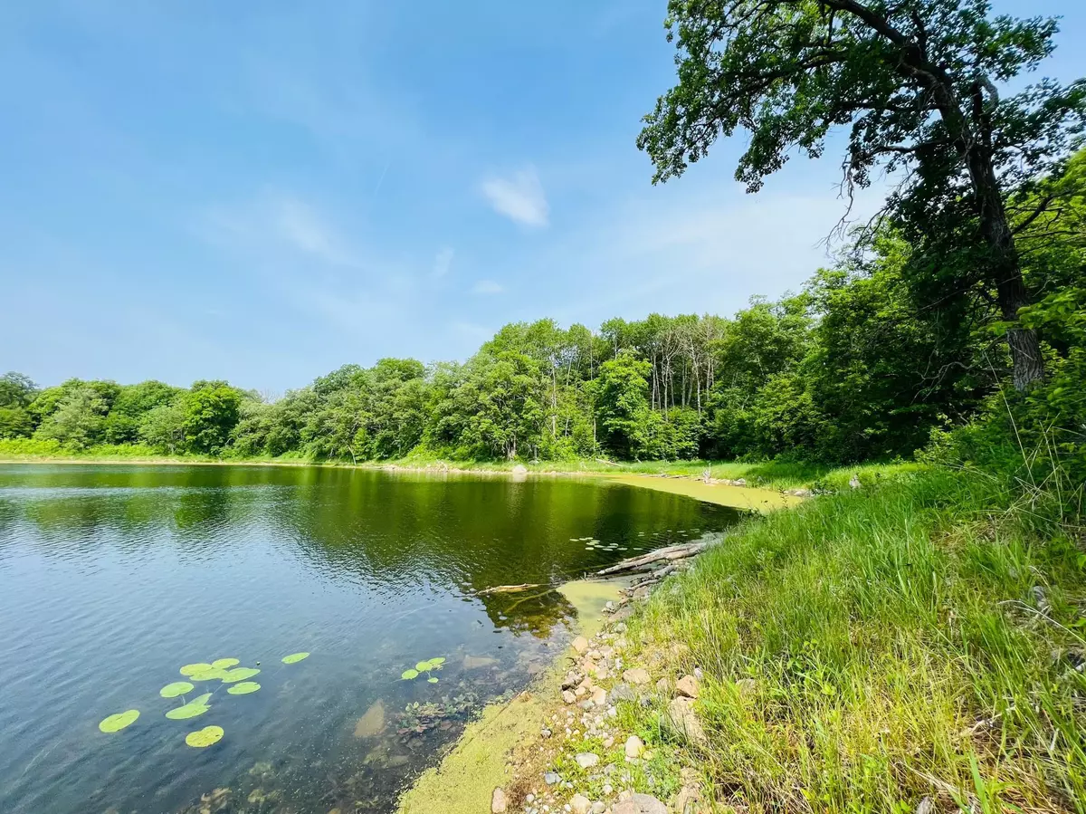 Maplewood Twp, MN 56534,TBD 250th AVE