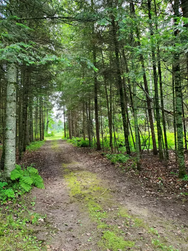 Hart Lake Twp, MN 56461,TBD County Rd 39