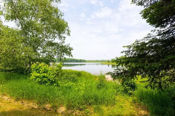 Roosevelt Twp, MN 56450,27012 Bluebill Point RD