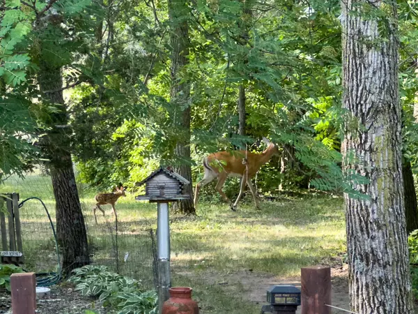 Hudson Twp, WI 54016,975 Wert RD