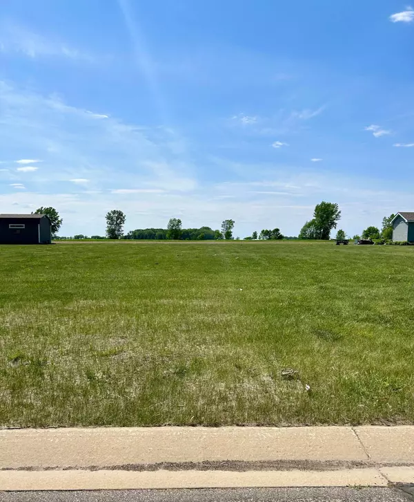 Blooming Prairie Twp, MN 55917,620 4th AVE SW