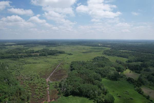 35032 219th AVE,  Huntersville Twp,  MN 56464