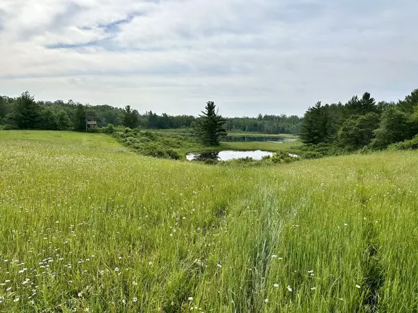 TBD Hidden RD, Akeley, MN 56433