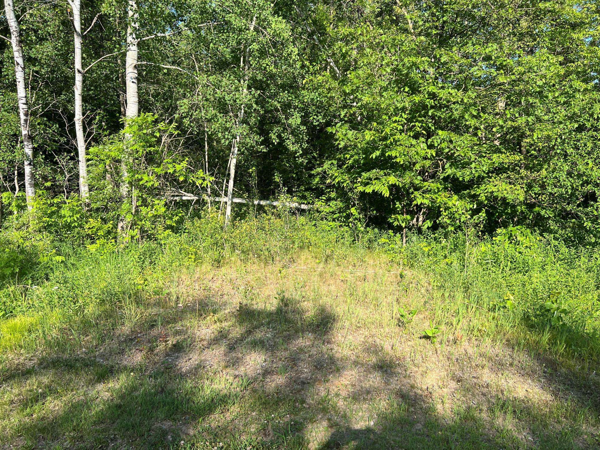 East Side Twp, MN 56342,TBD 34th Avenue