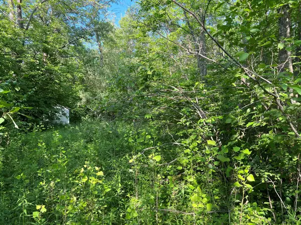 TBD 34th Avenue, East Side Twp, MN 56342