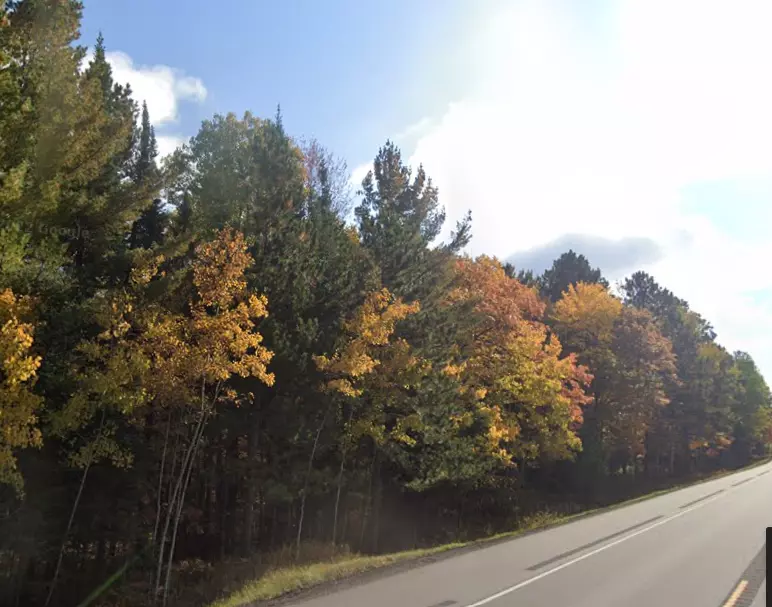 Feeley Twp, MN 55793,XXX US Hwy 2