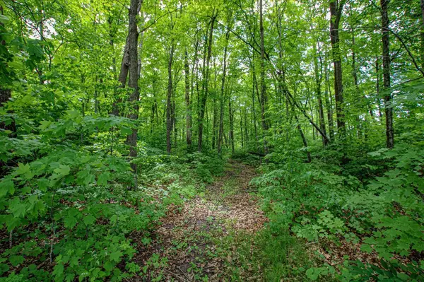 Miltona, MN 56354,Lot 5 Blk 1 Parview LN NE