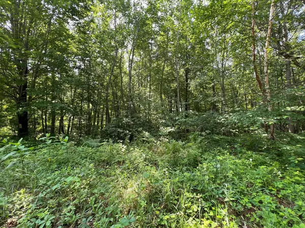 xxxxx Kovarik RD, Webster, WI 54893