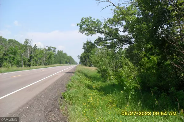 Hillman Twp, MN 55051,32xxx Highway 47