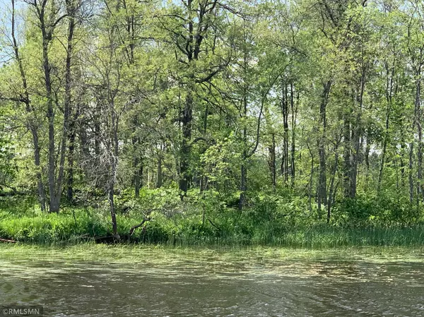 Mcgregor, MN 55760,XX Island Lot